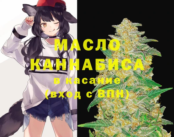 крисы Няндома