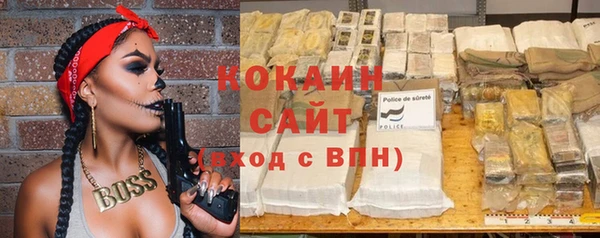 крисы Няндома